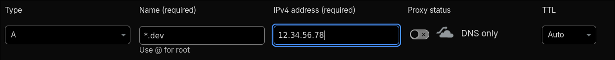 DNS configuration showing wildcard A record