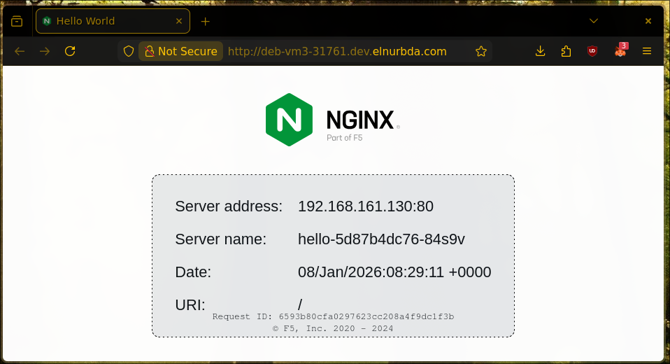 NodePort Exposed