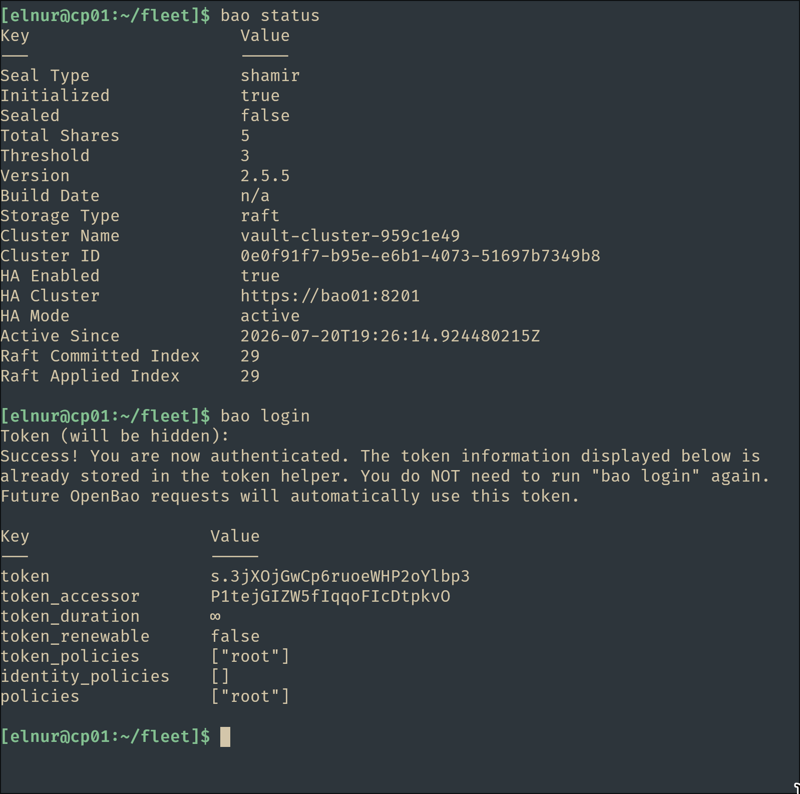 Successful root login to OpenBao