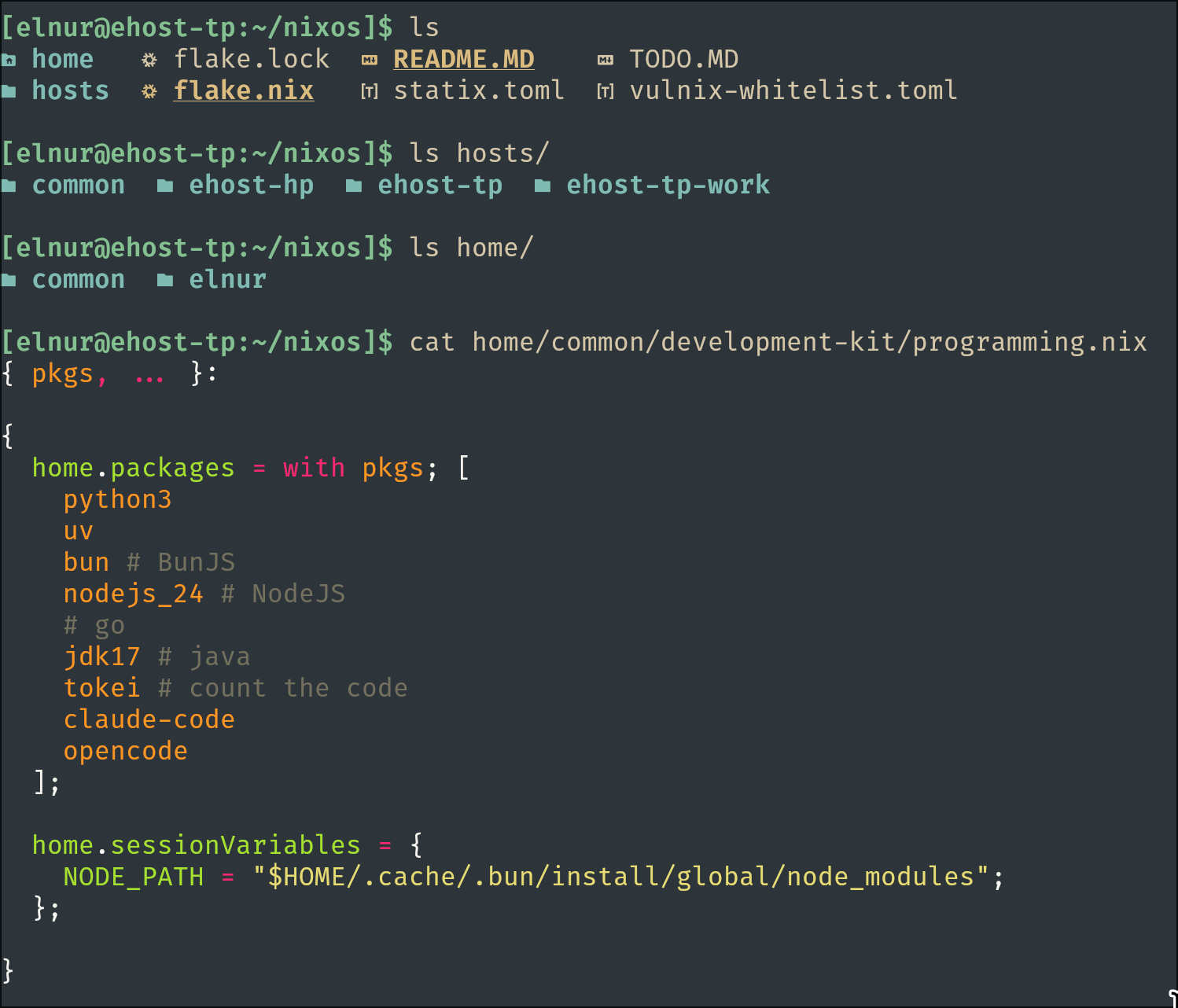 My NixOS Codebase